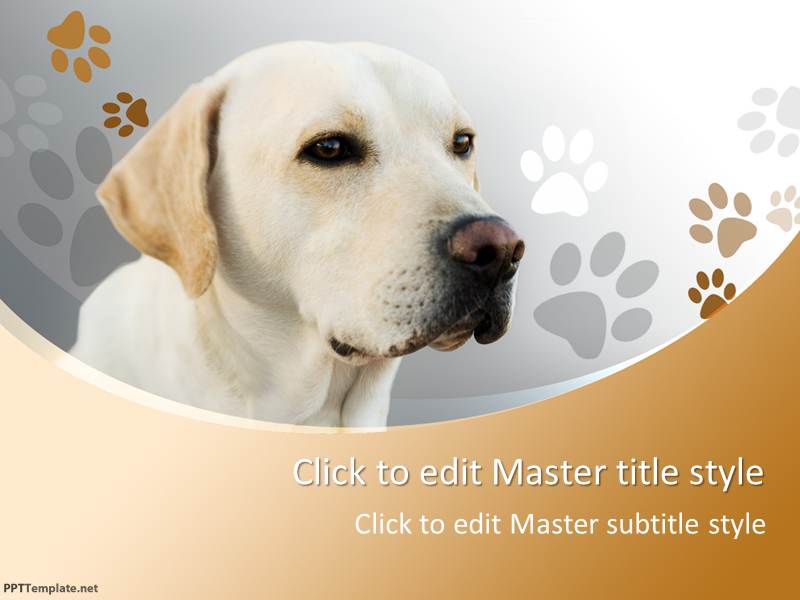 Dogs Ppt Templates Iphutam Dogs Ppt Templates Iphutam