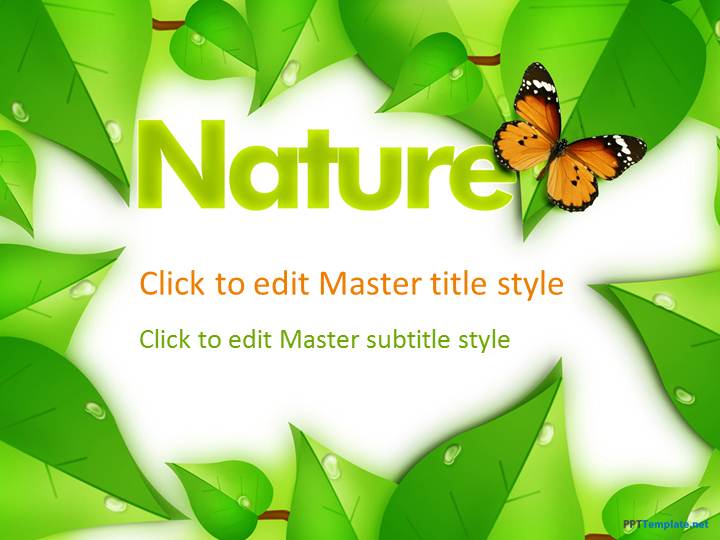 wildlife ppt presentation free download
