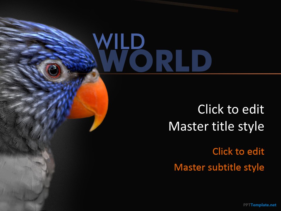 free-bird-ppt-template